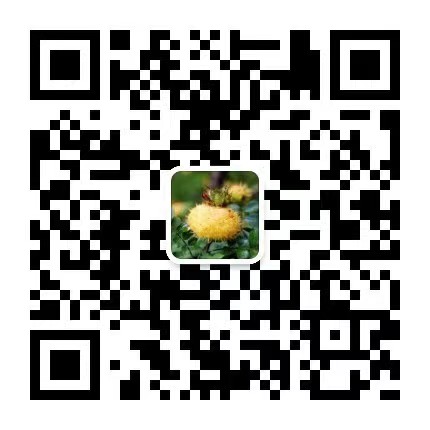 公众号二维码